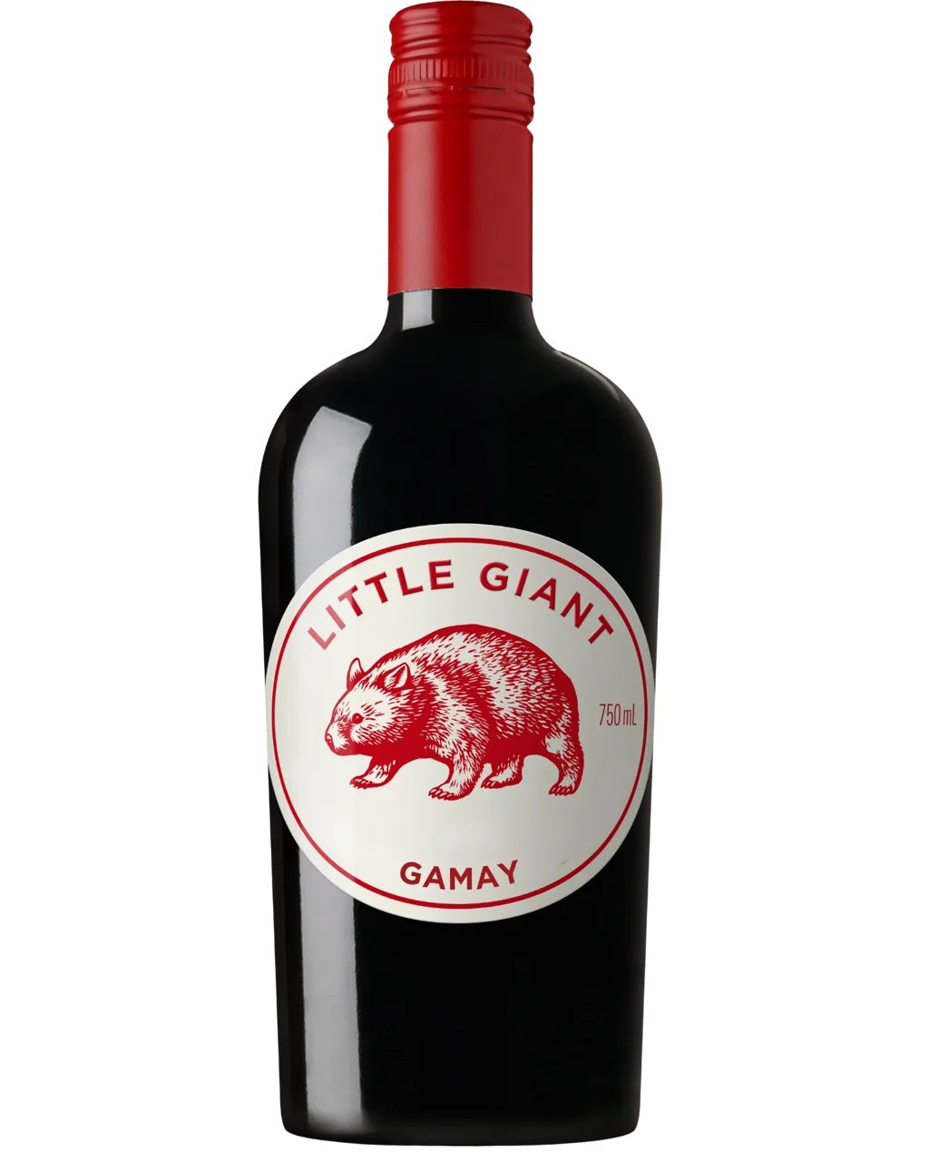 Little Giant Gamay