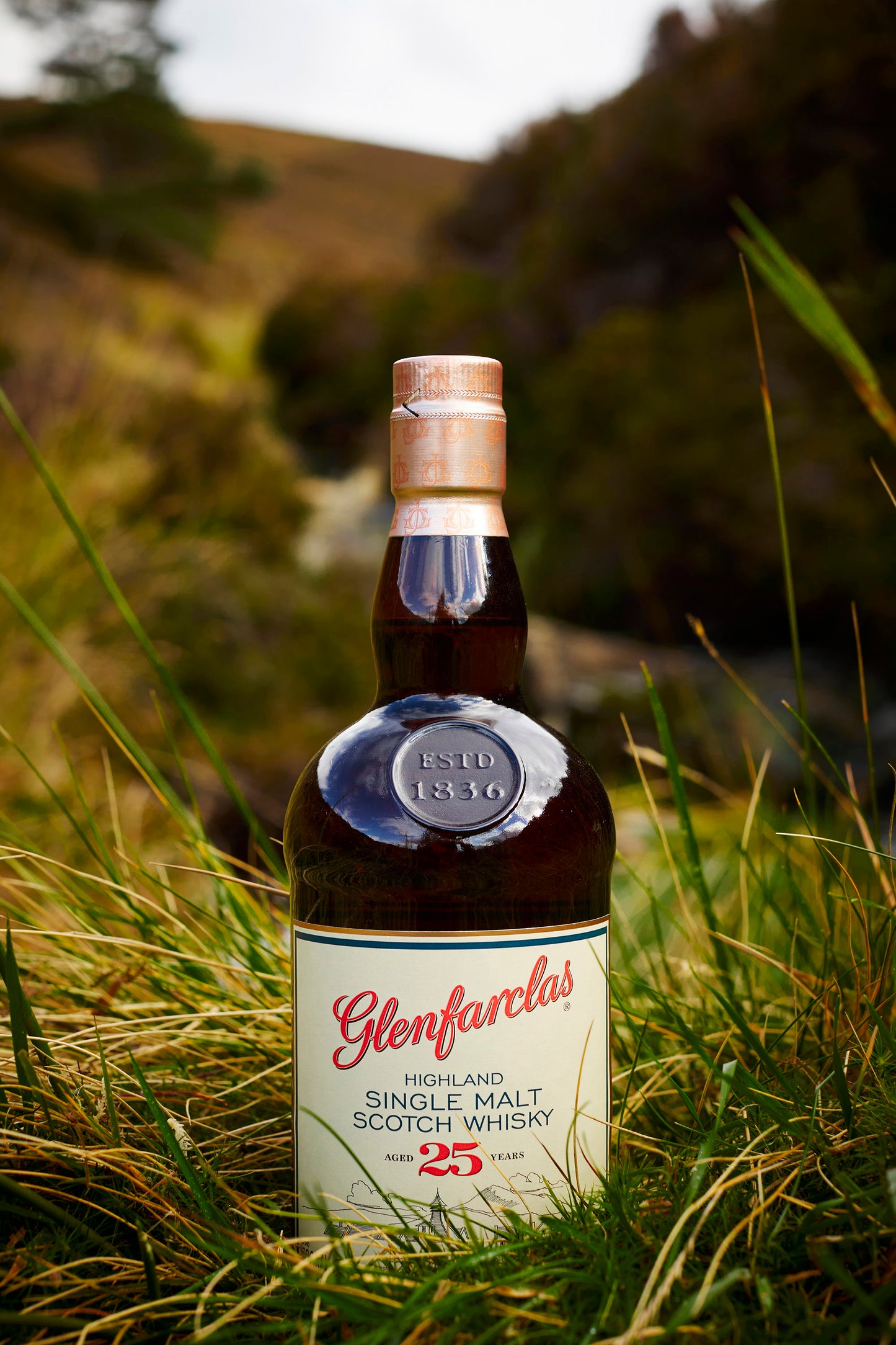 Glenfarclas 25 Year Old Single Malt Scotch Whisky 700ml